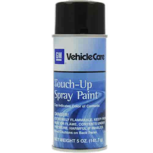 PAINT TOUCH-UP SPRAY 5 OZ