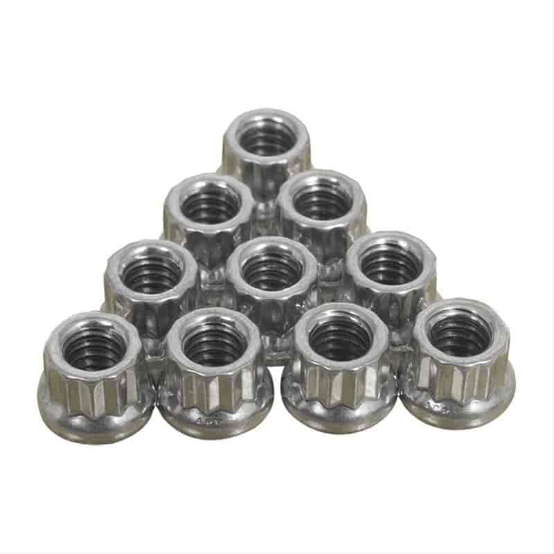 Stainless Steel 12-Point Nuts 1/4 in.-20
