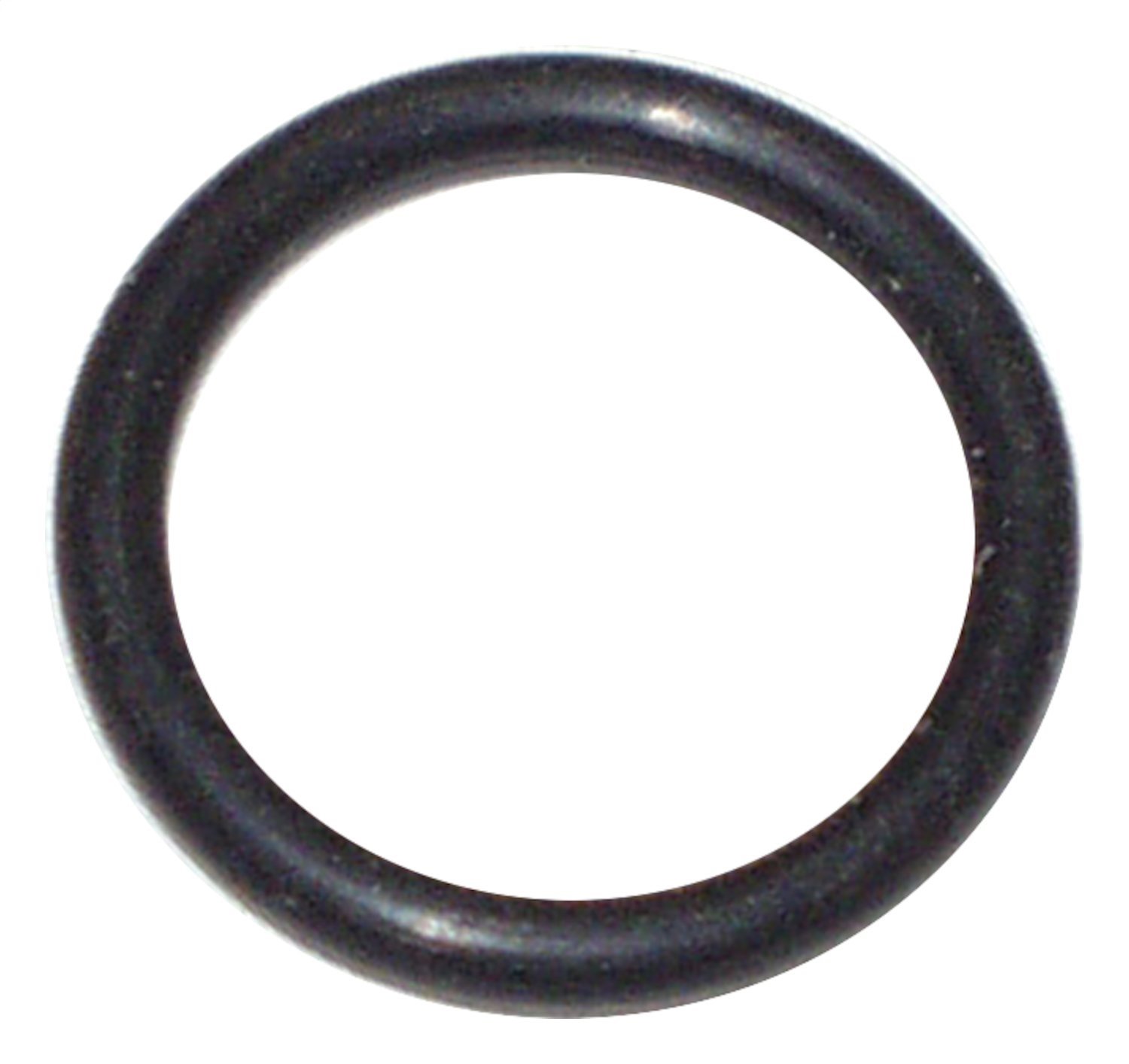 Crankcase Vent O-Ring