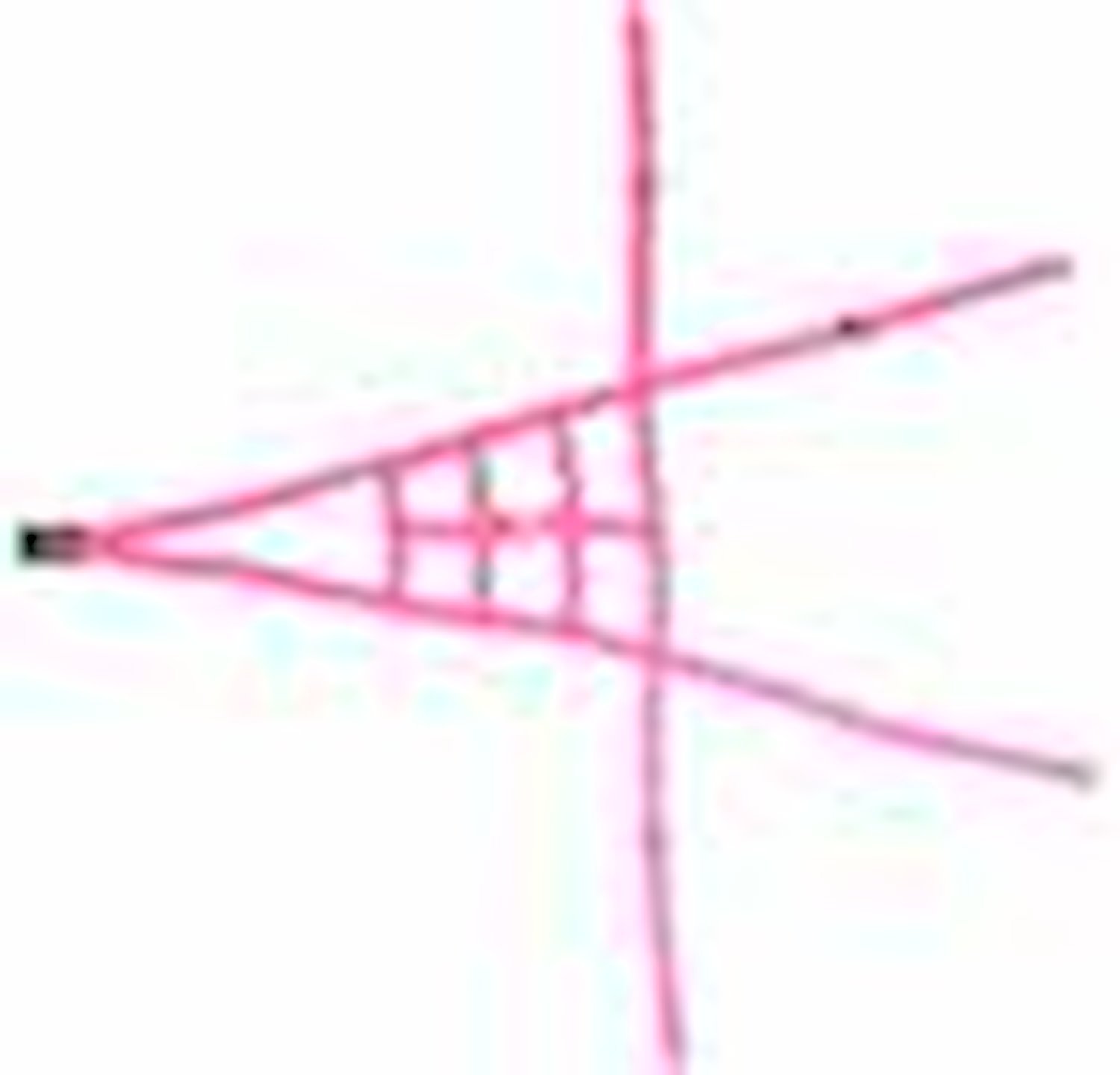 Ribbon ROLL CAGE Net 4 Point NON-SFI HOT PINK