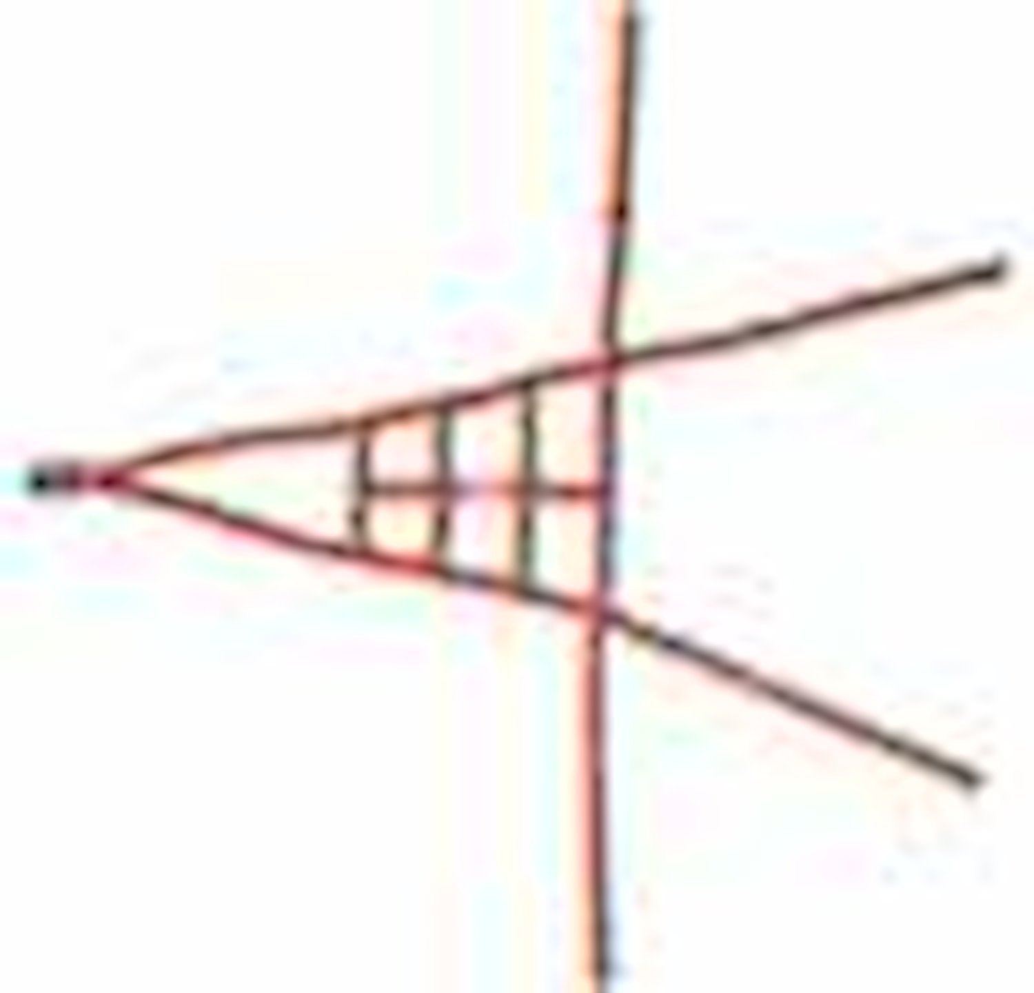 Ribbon ROLL CAGE Net 4 Point NON-SFI STRIPES