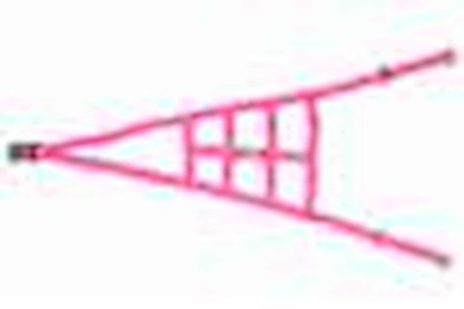 Ribbon ROLL CAGE Net 2 Point NON-SFI HOT PINK
