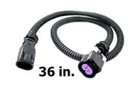 36 IN. O2 Extension GT Series 2 Wire