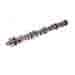 CAMSHAFT FF INGLESE 287E HR-15