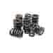 VALVE SPRINGS 4.6 FORD PREMIUM OVATE CONICAL SINGLE SPRING