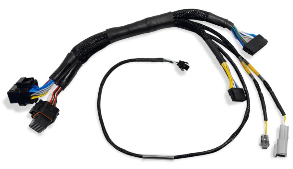 Engine Management Harness FT500 to FT600 Adapter Harness