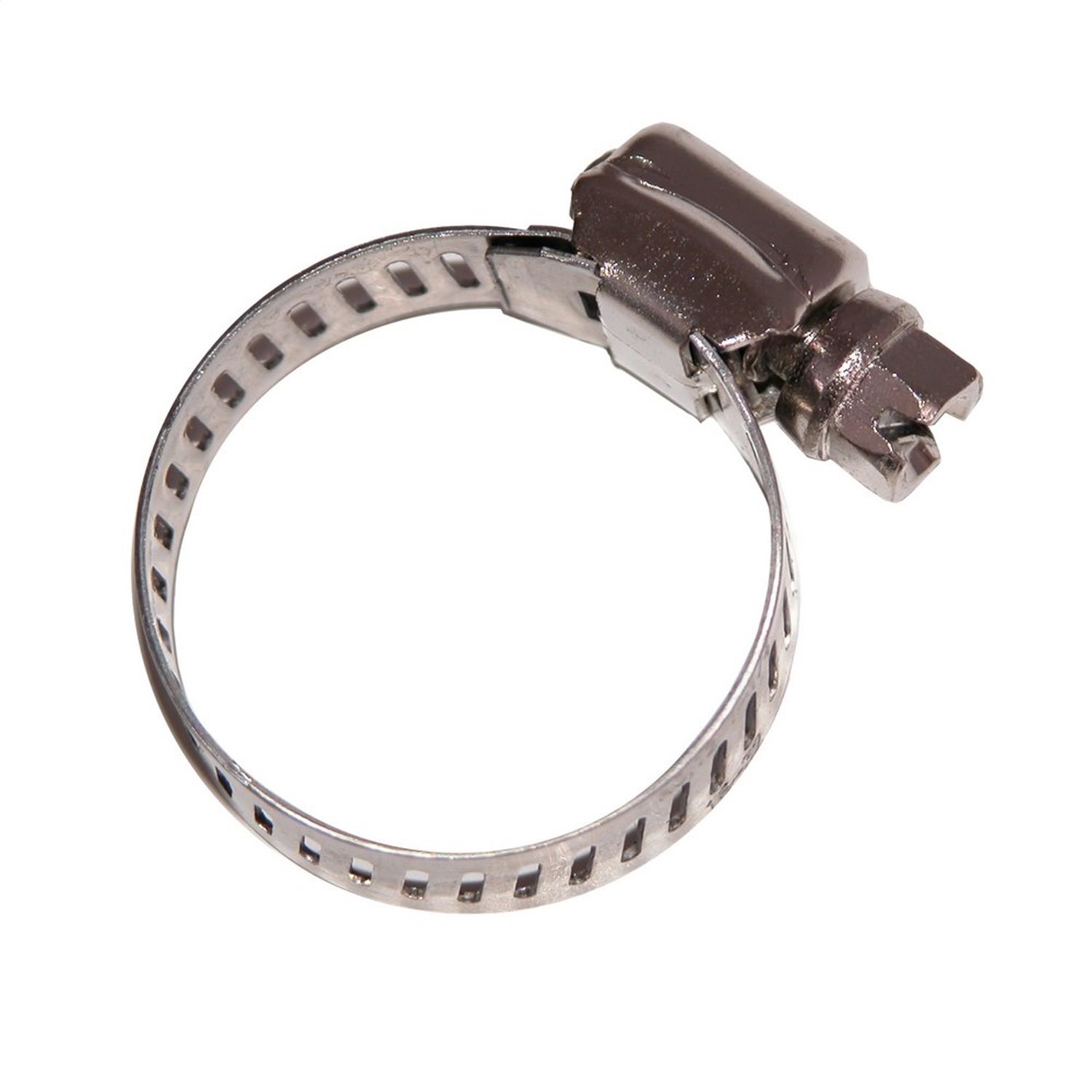 Hose Clamp 1-1/4 Inch By Omix-ADA