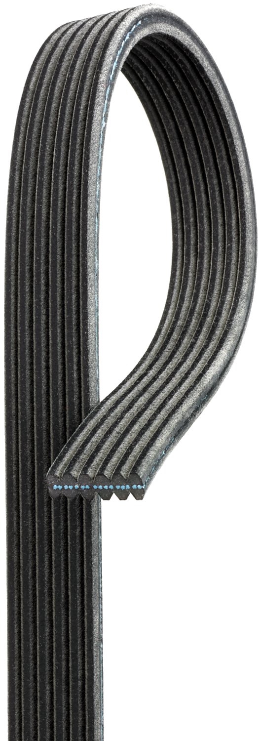 Century Series Dual Sided Belts