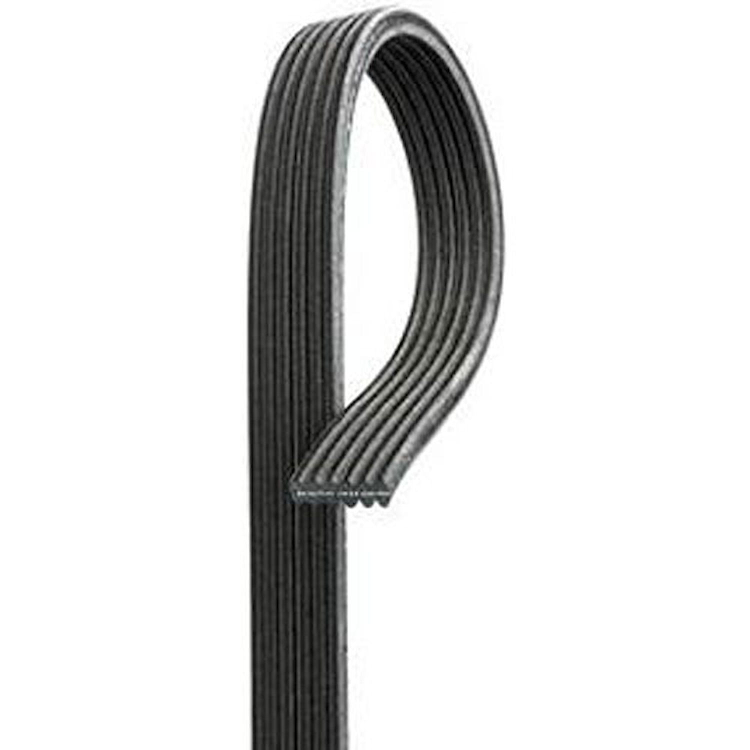Dual Sided 6-Rib Micro V Belt Length: 72.54"