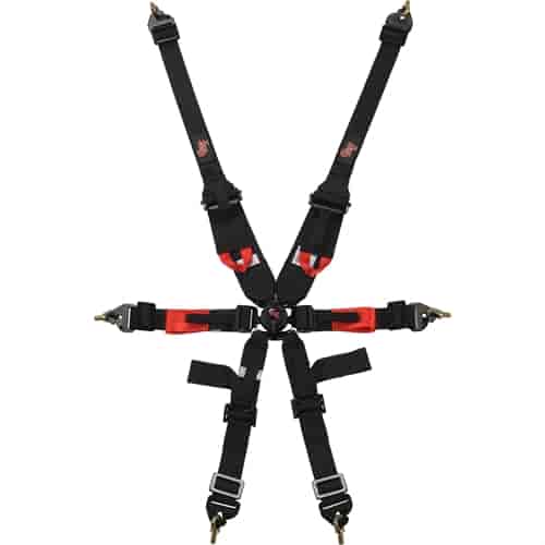 Pro-Series Euro Cam 6-Point FIA Rated Harness