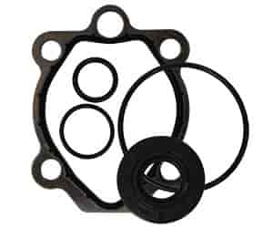 O-Ring & Seal Kit For Non-Shaft Drive Aluminum Pumps