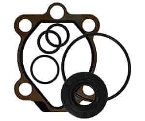 O-Ring & Seal Kit For Cast Iron Pumps