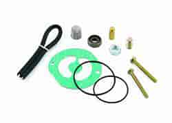 Gasoline Seal Kit For Fuel Pumps 110FI and 250