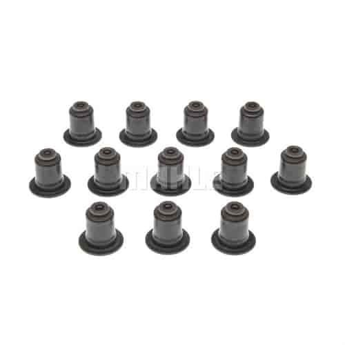 Valve Stem Seal Set