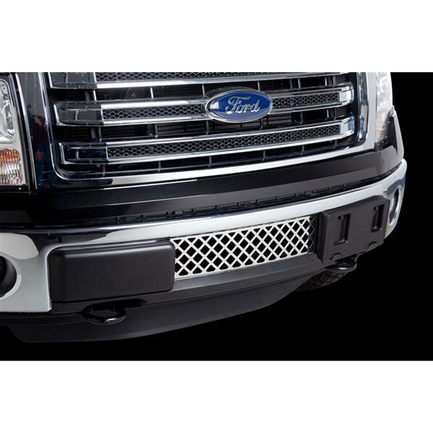 Bumper Grille Insert 2011-14 Ford F150 Ecoboost