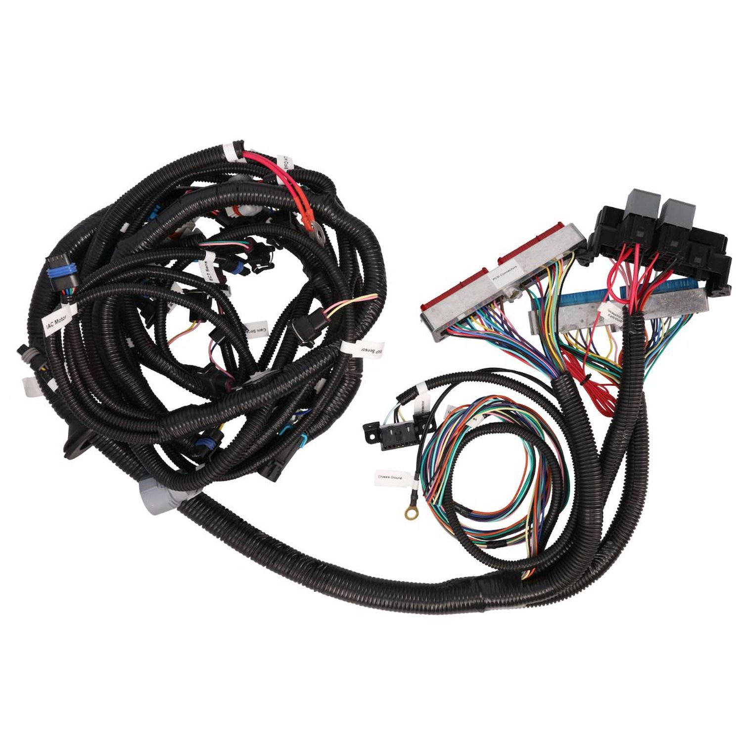 WH1201-1 Standalone Wiring Harness, LS1 Drive by Wire w/ 4L80E Auto