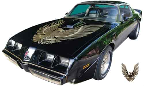 Special Edition Trans Am Decal Kit for 1981 Pontiac Firebird Trans Am