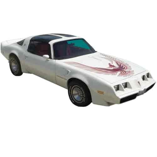 Trans Am Turbo Decal Kit for 1981 Pontiac Firebird Trans Am Turbo