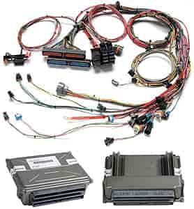 Painless Wiring on Painless Performance Products 60009   Painless Fuel Injection Wiring
