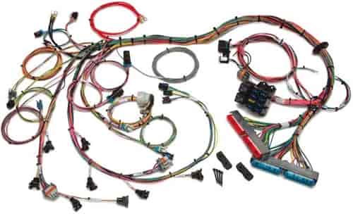 EFI Wiring Harness 1998-2004 GM LS1/LS6
