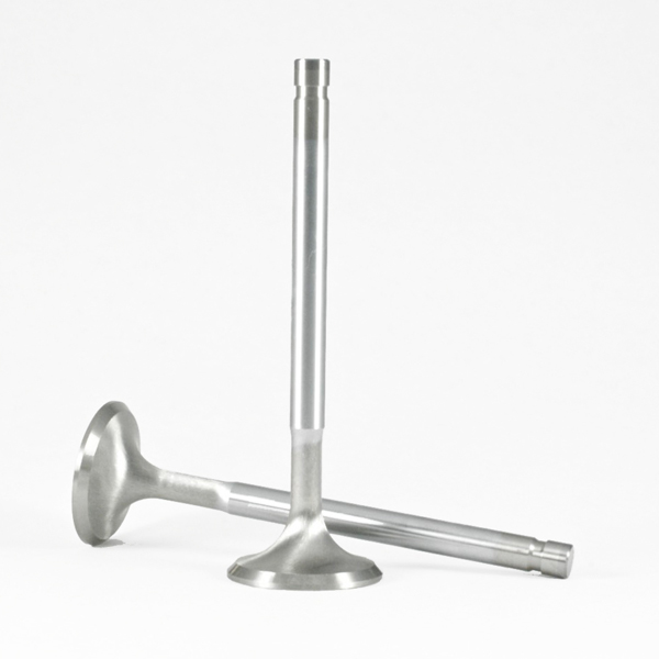 EXHAUST VALVE