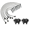 OE Replacement Ignition Coil and Spark Plug Wire Kit, Ford F-150/F-250, Lincoln Mercury