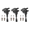OE Replacement Ignition Coil and Spark Plug Kit, Hyundai Santa Fe 3.5L