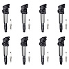 OE Replacement Ignition Coil and Spark Plug Kit, BMW 550i/650i/X5 4.8L V8