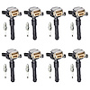 OE Replacement Ignition Coil and Spark Plug Kit, BMW 325i/323i 2.5L, BMW 740iL/X5/540i 4.4L, BMW 330i/530i