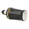Front Generation III Air Spring - image 1