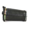 Rear Generation III Air Spring - image 2