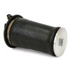 Rear Generation III Air Spring - image 4