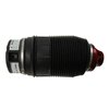 Rear Air Spring - image 2