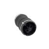 New Rear Air Spring - image 1