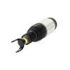 New Front Air Strut - image 2