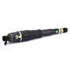Rear Air Shock
