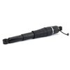 Rear Air Shock - image 2