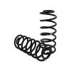 Rear Coil Spring Conversion Kit - image 1