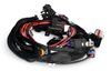 AS2011-1 Jackpot Plug-and-Play Engine Control for GM LS, w/Drive By Cable - image 4
