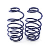 StreetGrip Dual-Rate Coil Springs 1968-1972 Chevelle A-Body - image 1