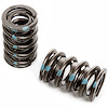 PAC Racing Dual Spring, Blue Stripe for Solid Roller Cam 1.550 in. O.D. .788 I.D