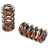 Dual Springs, Red Stripe for Hydraulic Roller Cam 1.270 in. O.D.