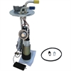 Fuel Pump Module Assembly