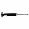 SHOCK ABSORBER ASY (P) - image 1