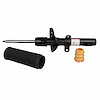 SHOCK ABSORBER ASY (P) - image 1