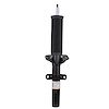 SHOCK ABSORBER ASY (P)
