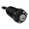 STRUT - LOADED ASSE (P) - image 2