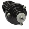 STRUT - LOADED ASSE (P) - image 2