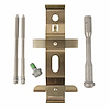CLIP (P) - image 1