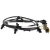SENSORASY (P) - image 4